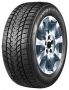 Легковая шина TRI-ACE Snow White II 295/30 R22 103H